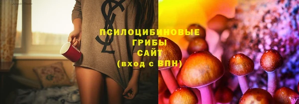 ешки Абаза