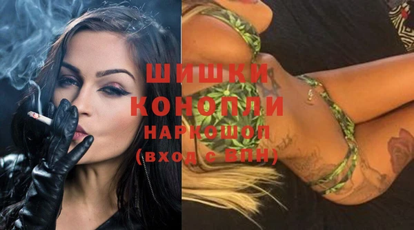 мет Няндома