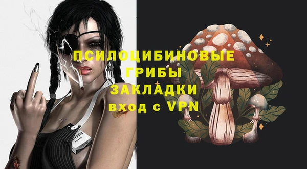соль ск Нязепетровск